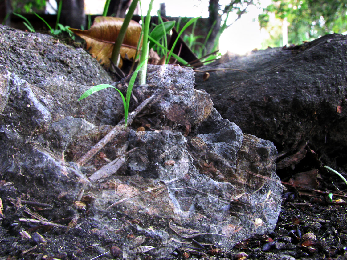 The Light That IS The Rock