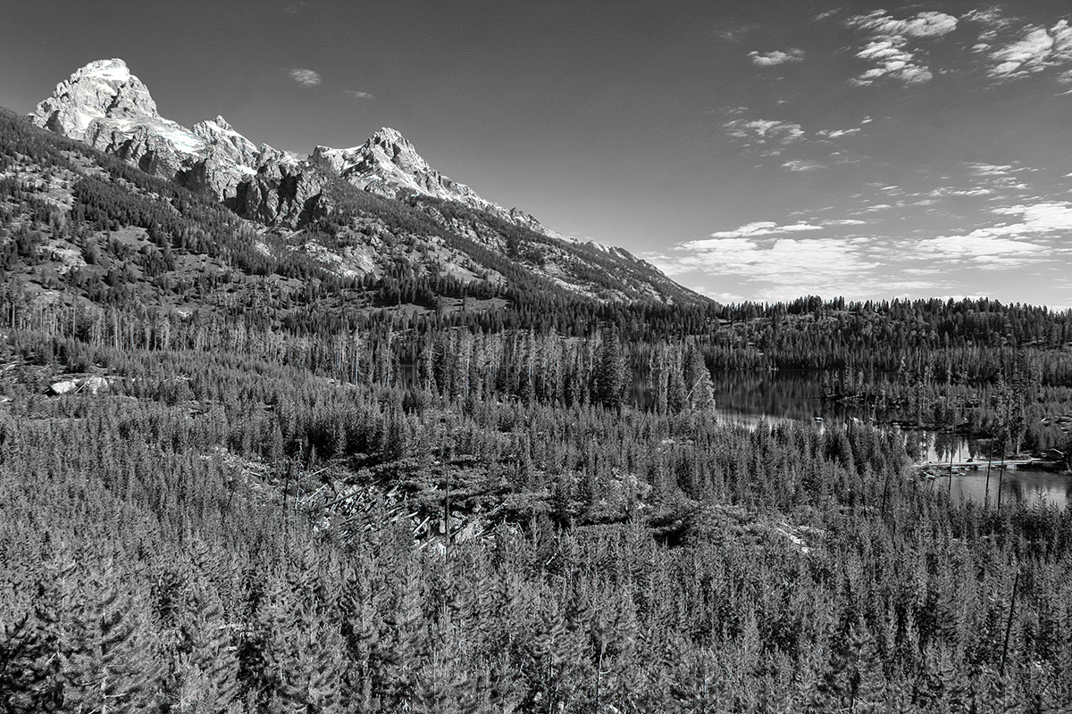 Ansel’s Wyoming 