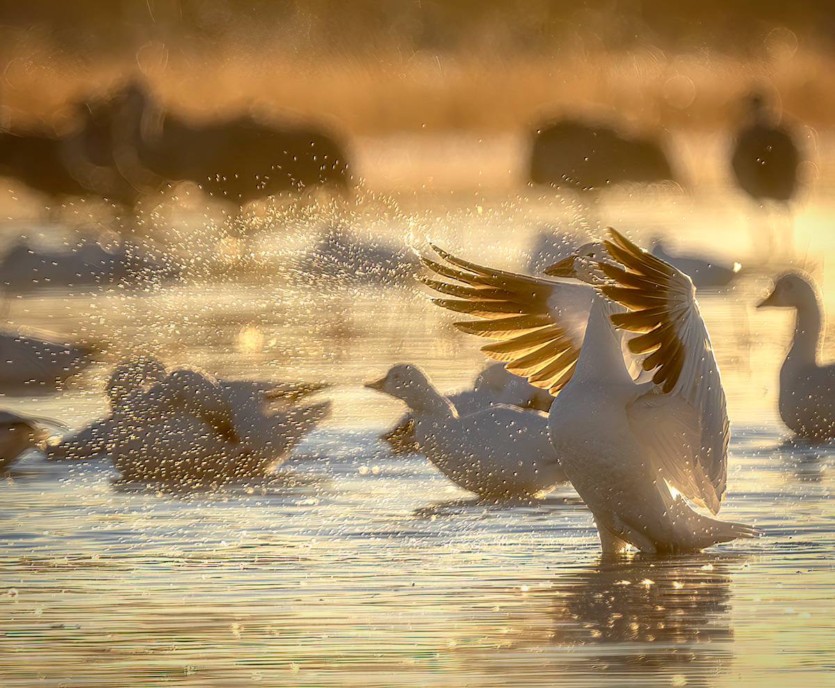 Shake it off and move on.  Tom Hanks