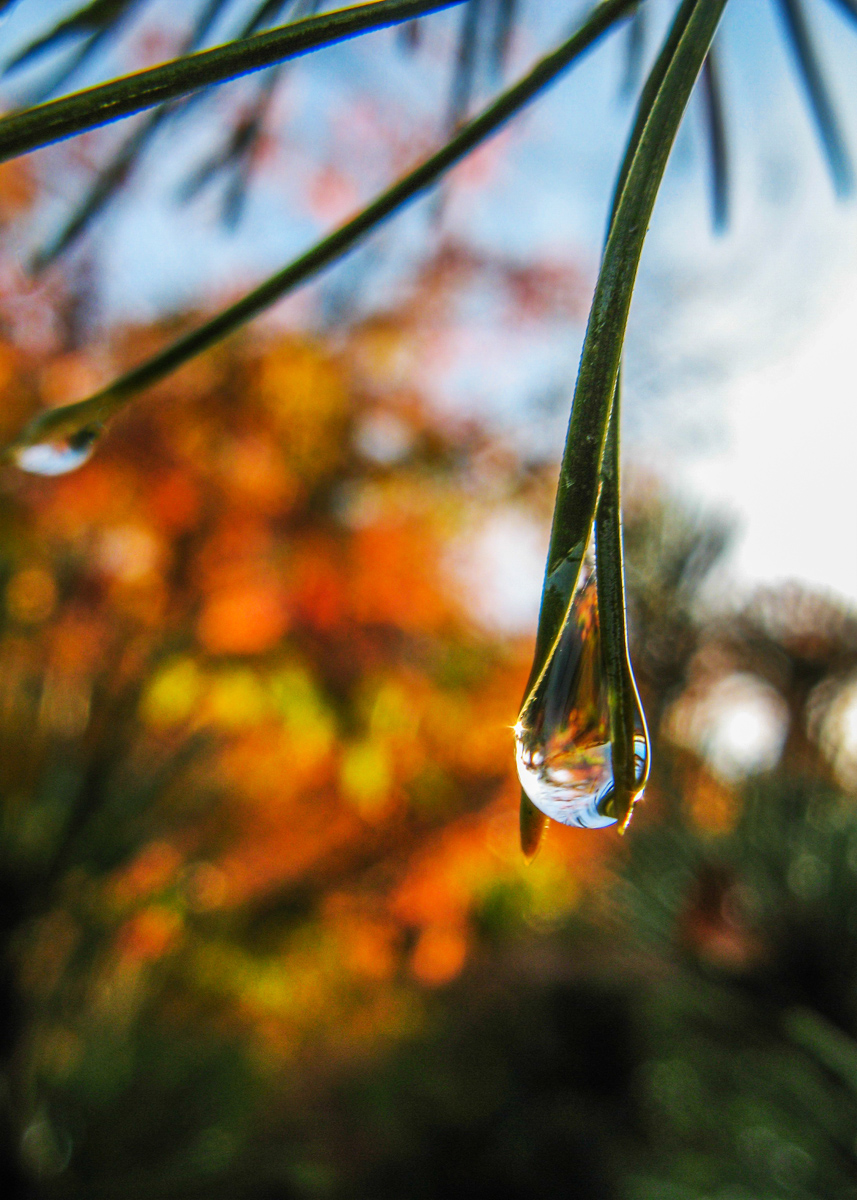 After The Rain