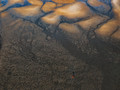The Clamdigger