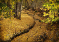 Silent Stream