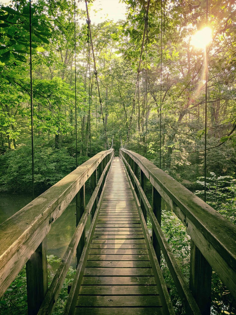 Appalachian Trail 