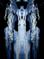 Tree Spirit