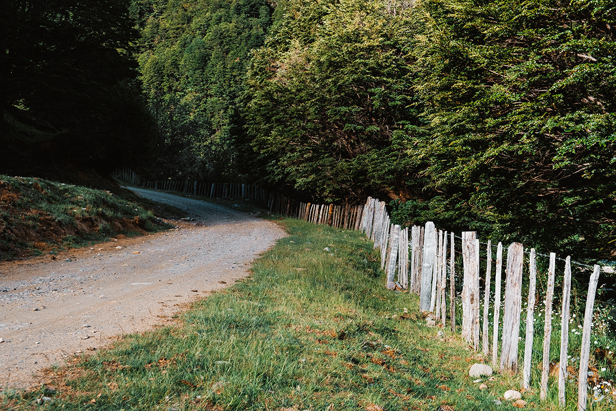 Fence Posts