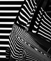 Black and White