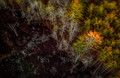 Growth/Decay