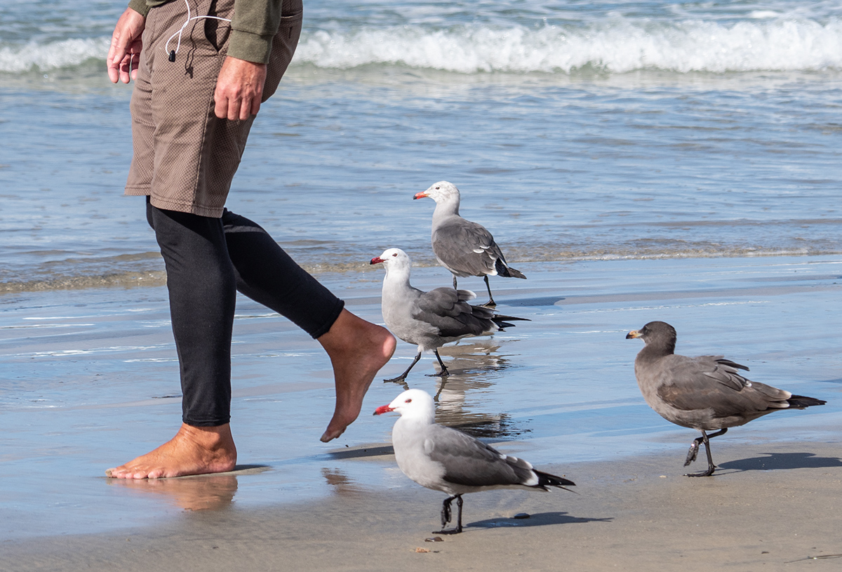 Beach walk