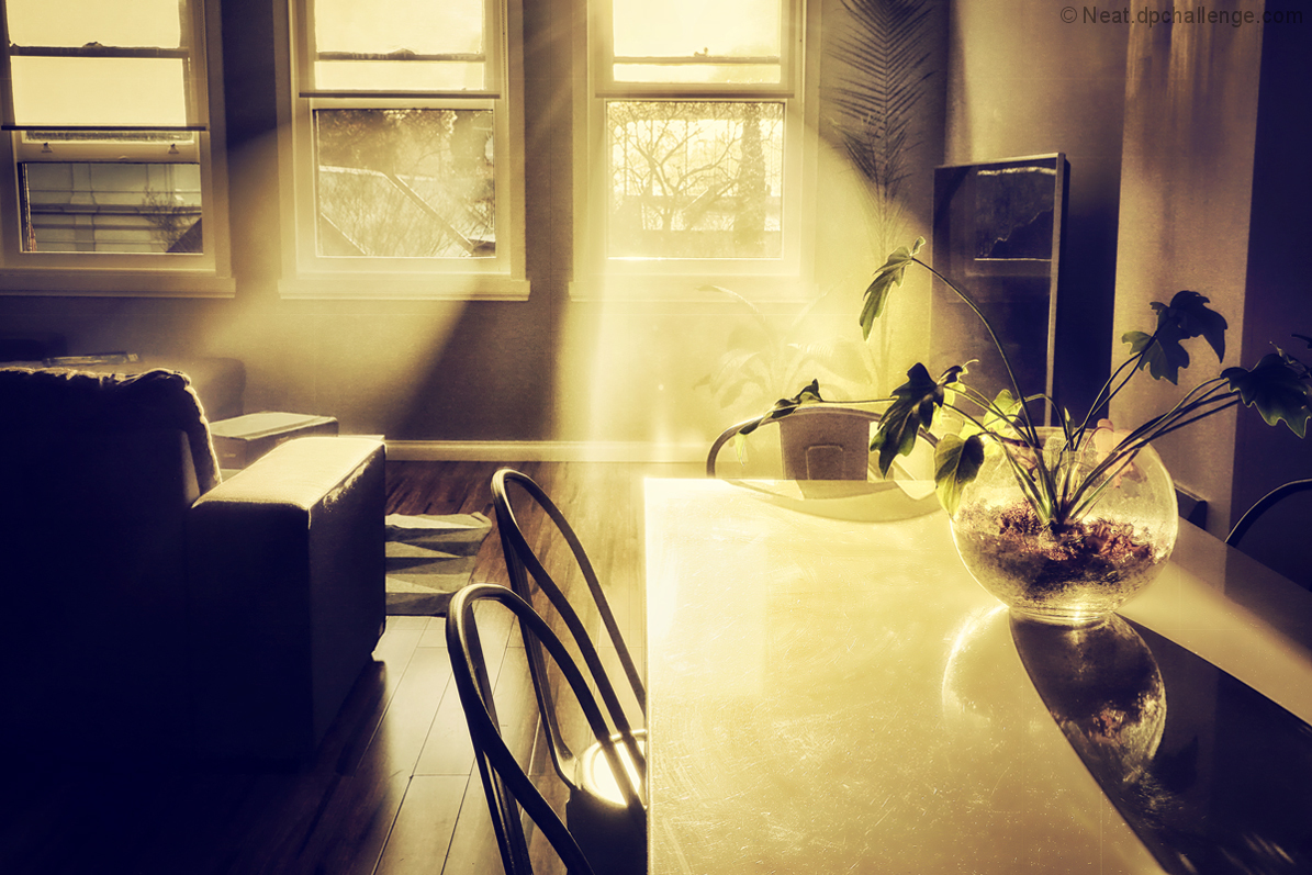 As the light streams through