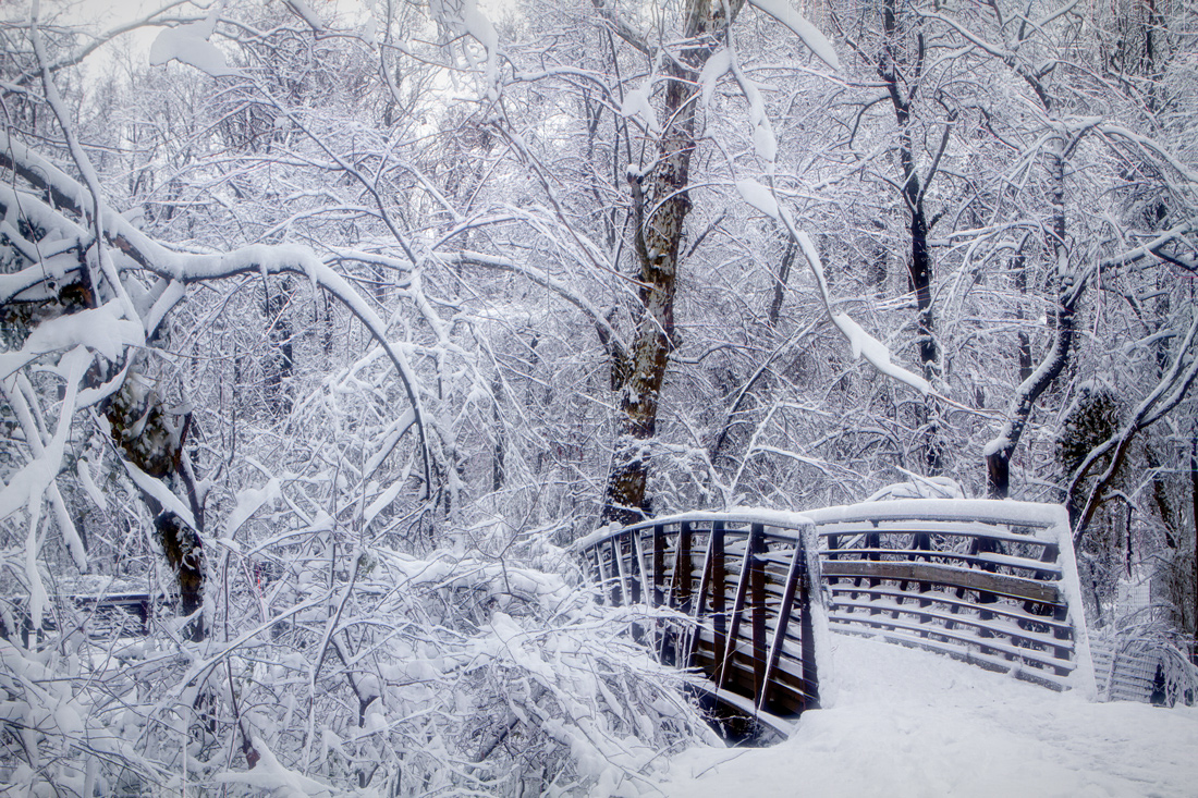 Winter solitude, this plain wooden bridge transformed, first snow of the year