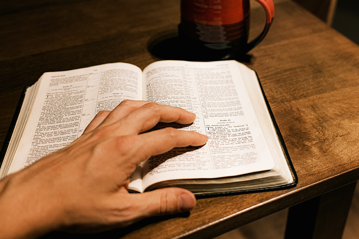 Read the Bible in One Year