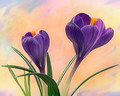 First Sign of Spring