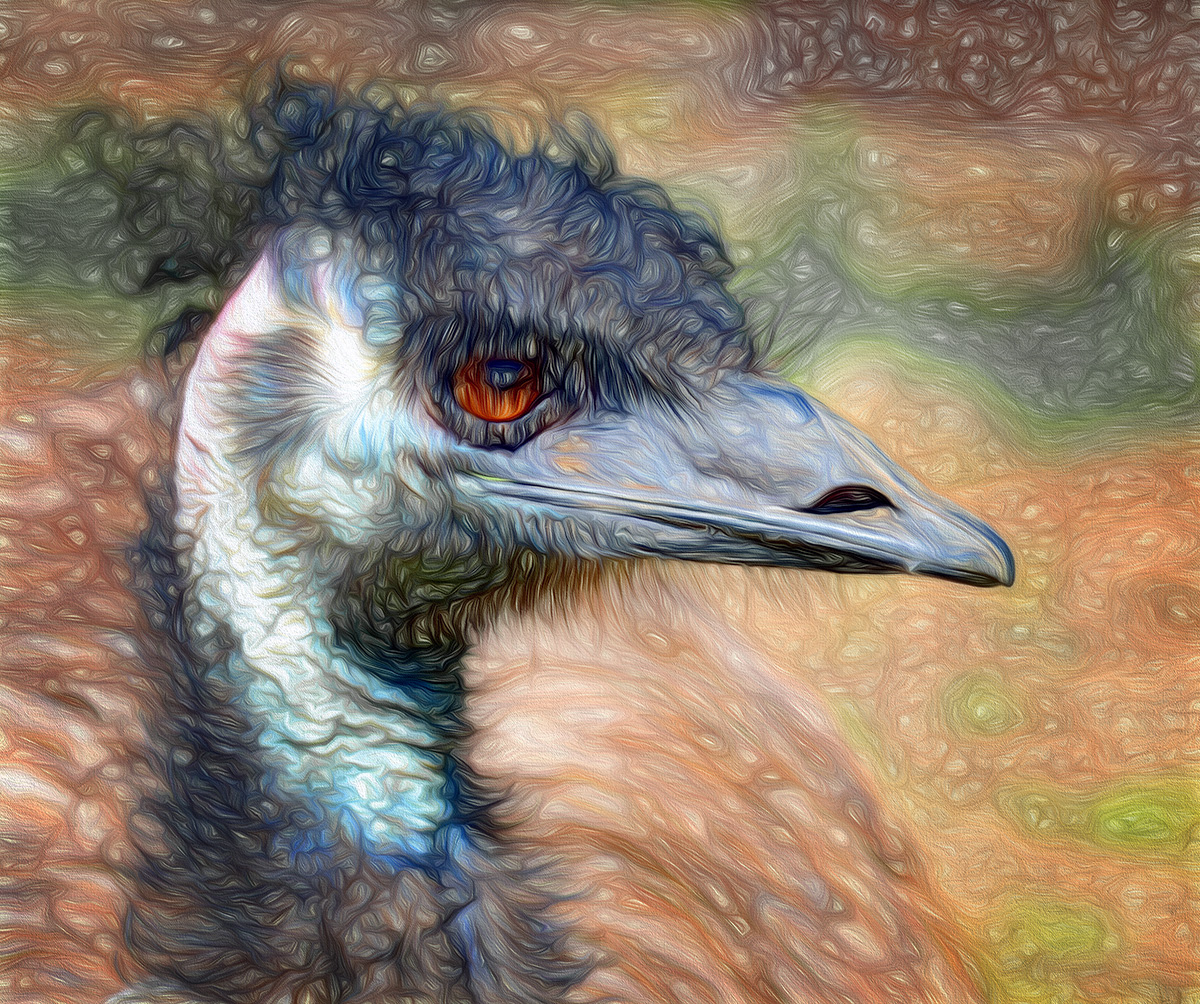 Emu