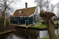 House with tree