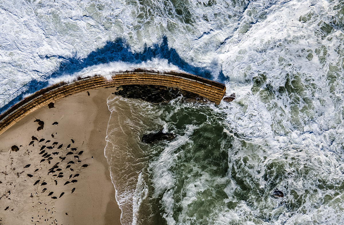 Seal storm shelter