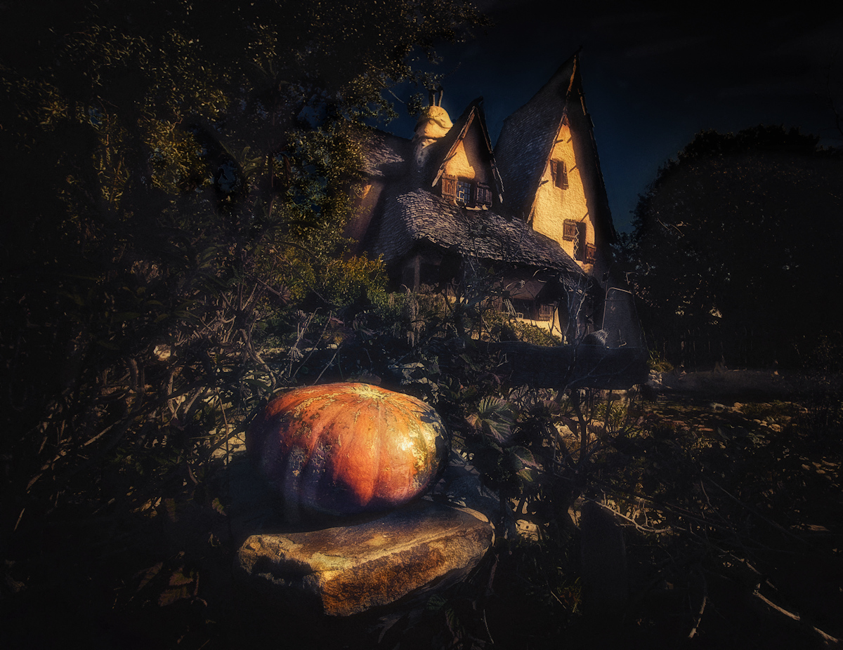 The Witch's house