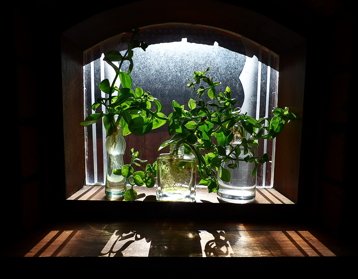 Propagation