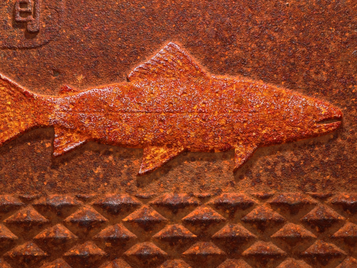 Rusted Fish