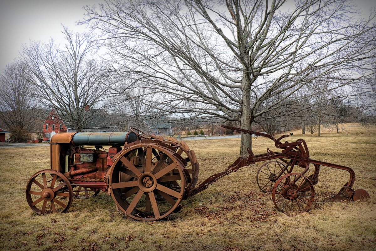 Put Out To Pasture By Mlu DPChallenge