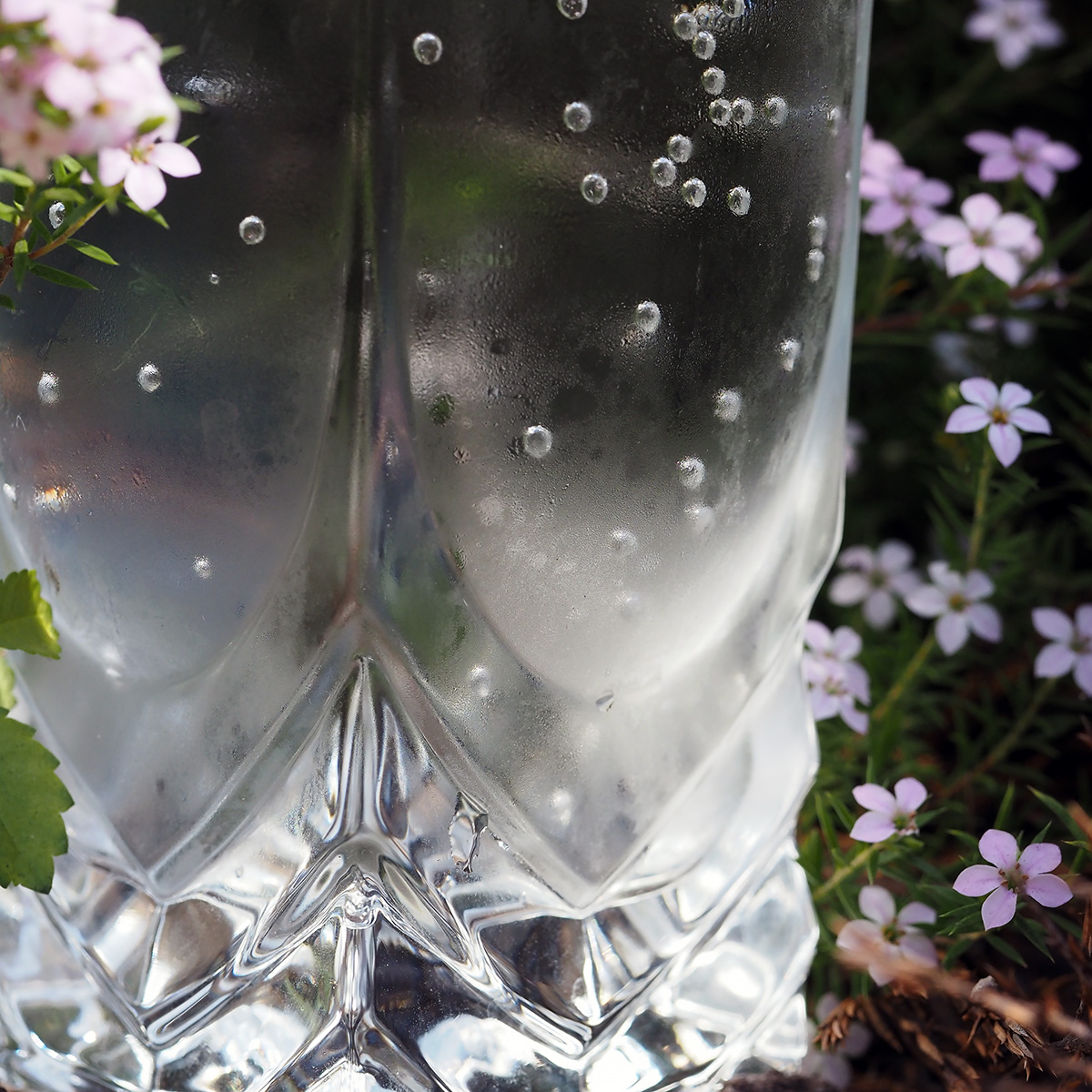 Glass in the Wild