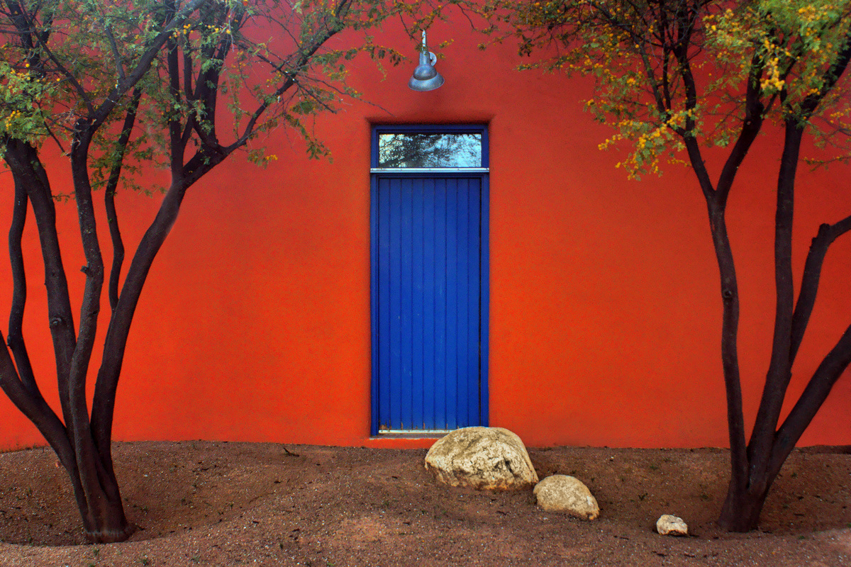 Trees and Door - Barrio Historico