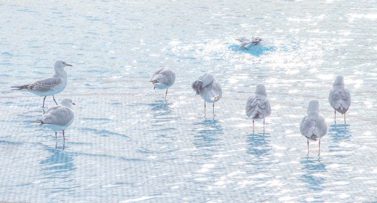  Sea Pool, Off - Season