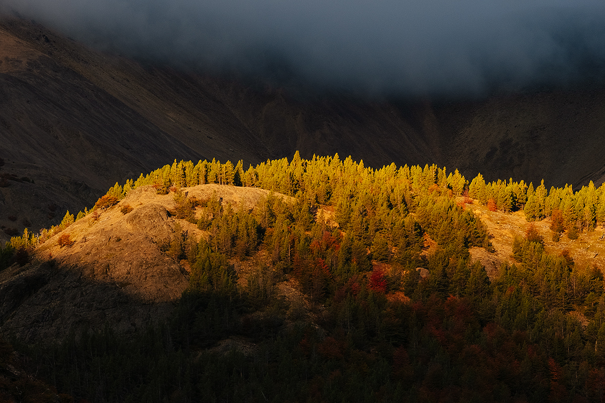 Last Light