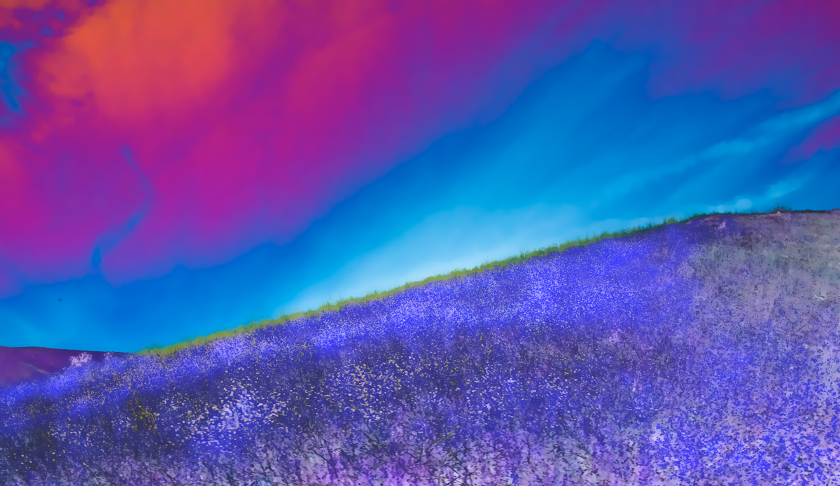 summer musings