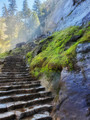 Mist Trail
