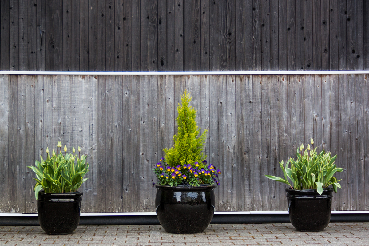 Simply Planted