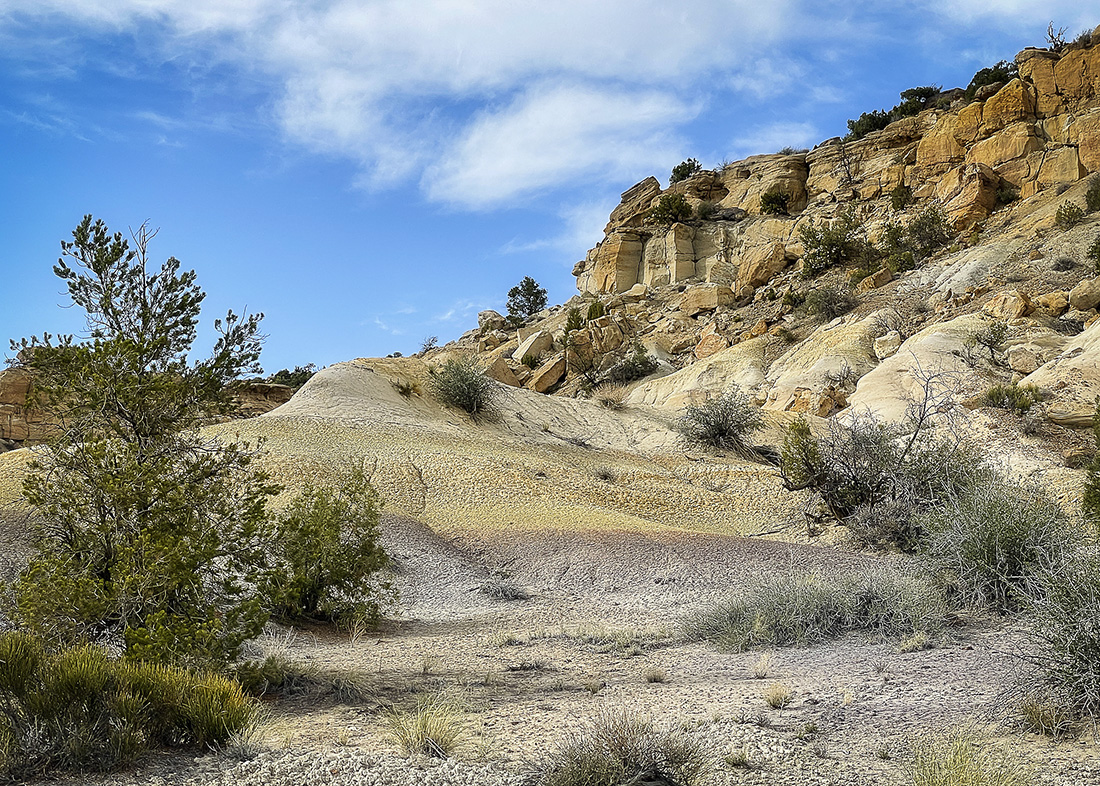 High Desert Hues