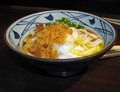 Ontama Udon