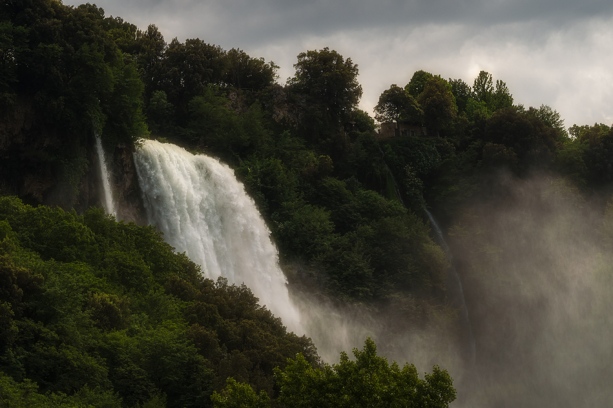 Natural Forces