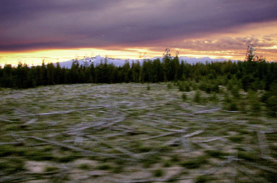 Clearcut Sunset