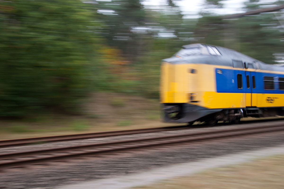 Trees and train