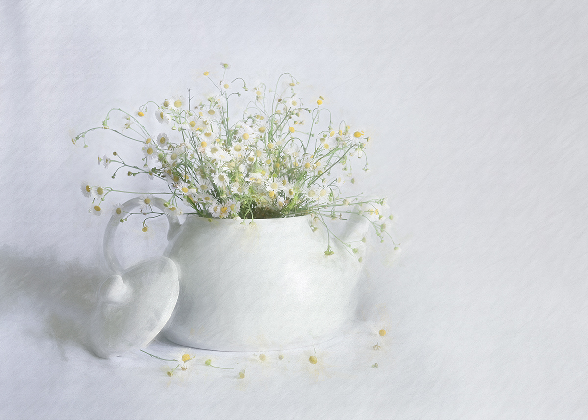 Spring In A Teapot