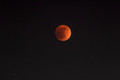 Blood Moon Los Angeles