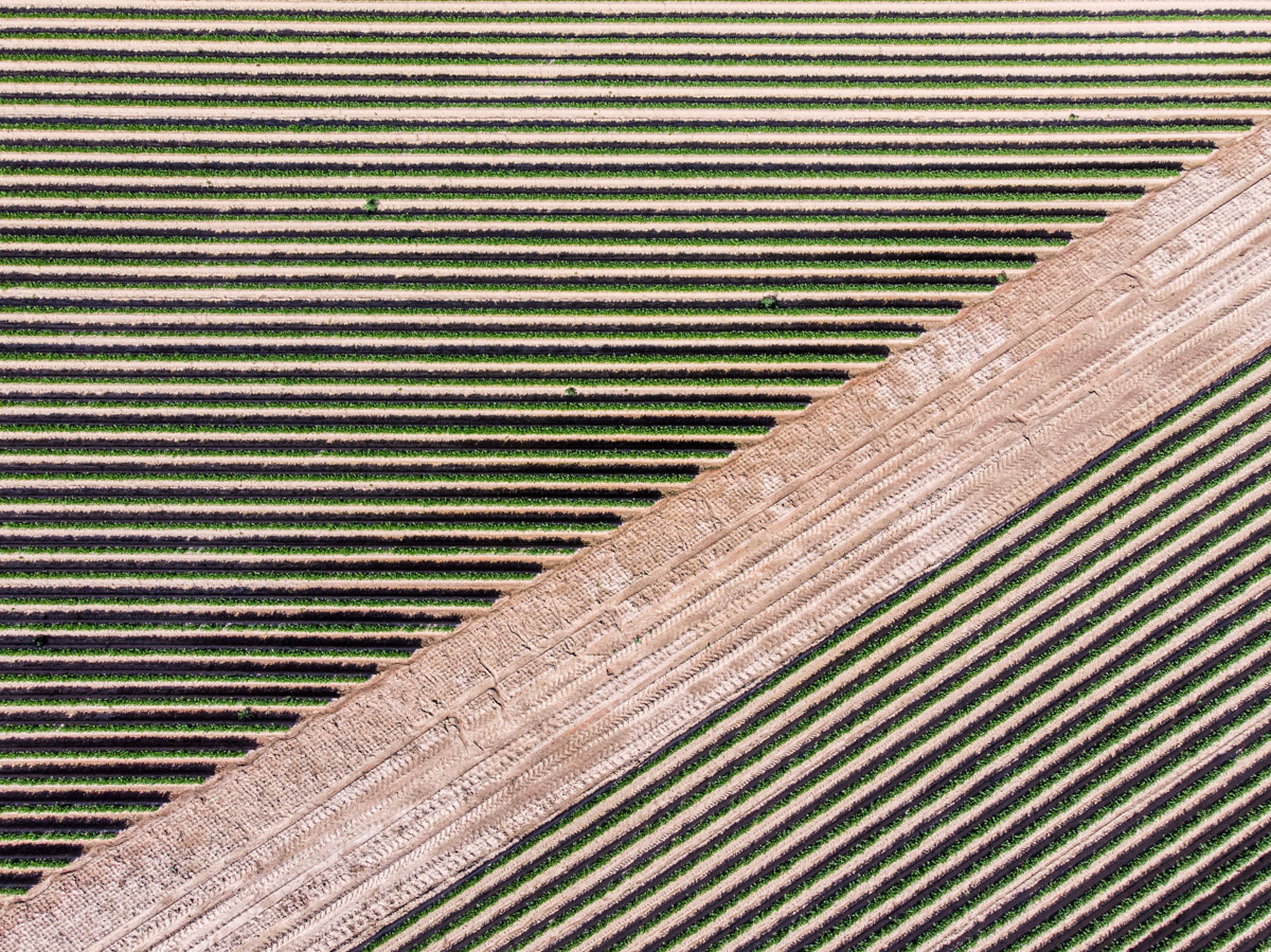 Field from above