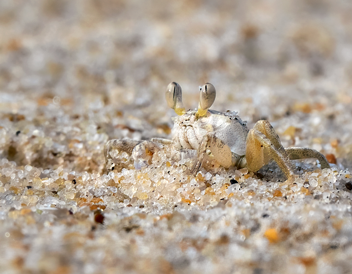 He secretly hates that feeling of sand between his toes