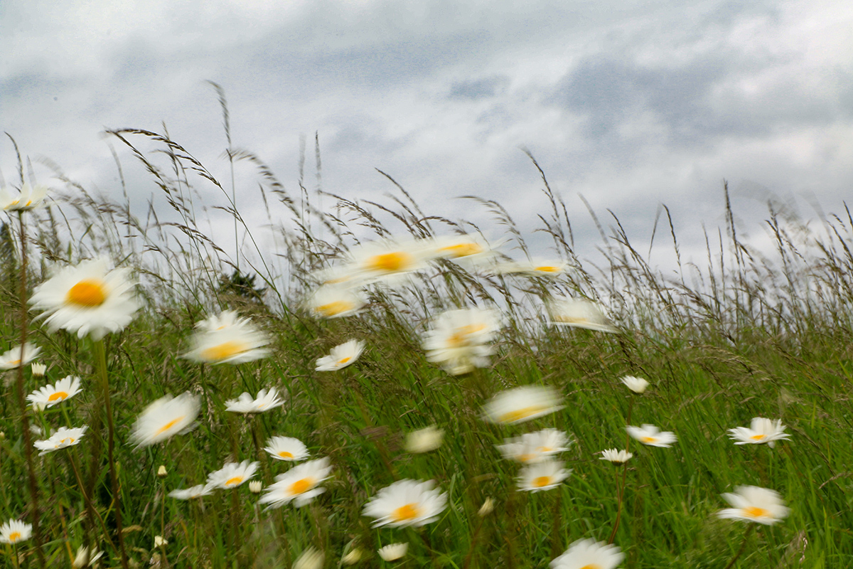 Spring Storm