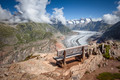 Bench with a view