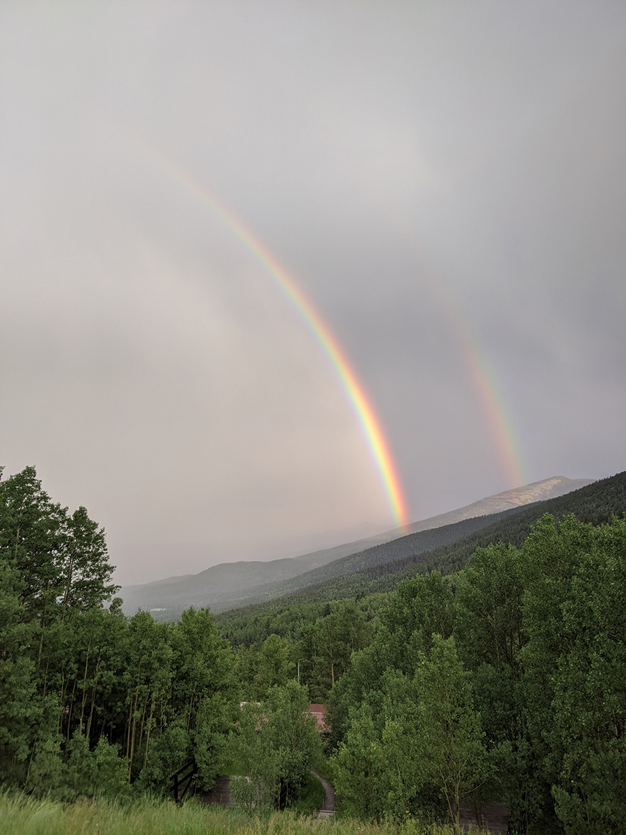 The Rainbow Connection 