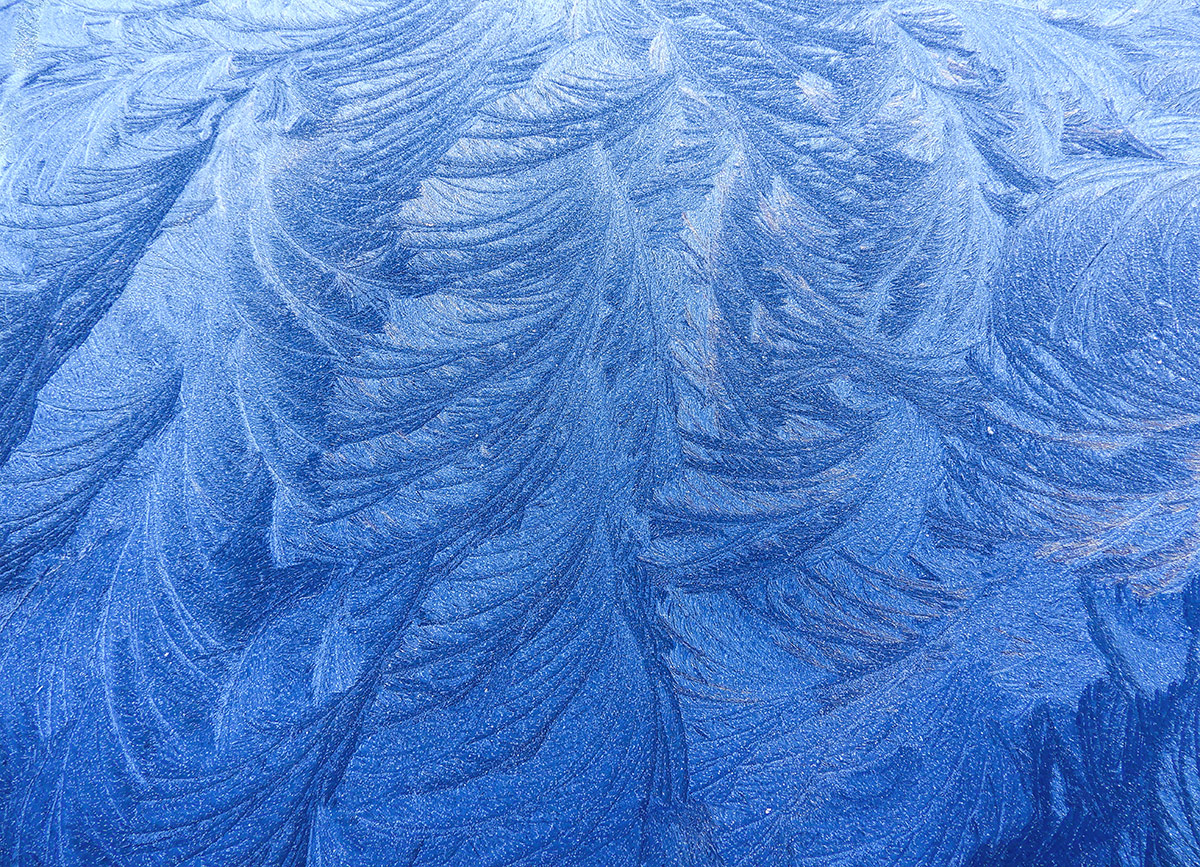 Frost on a Blue Car