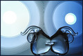 Butt Dancing Elephants