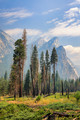 Smokey Yosemite Valley