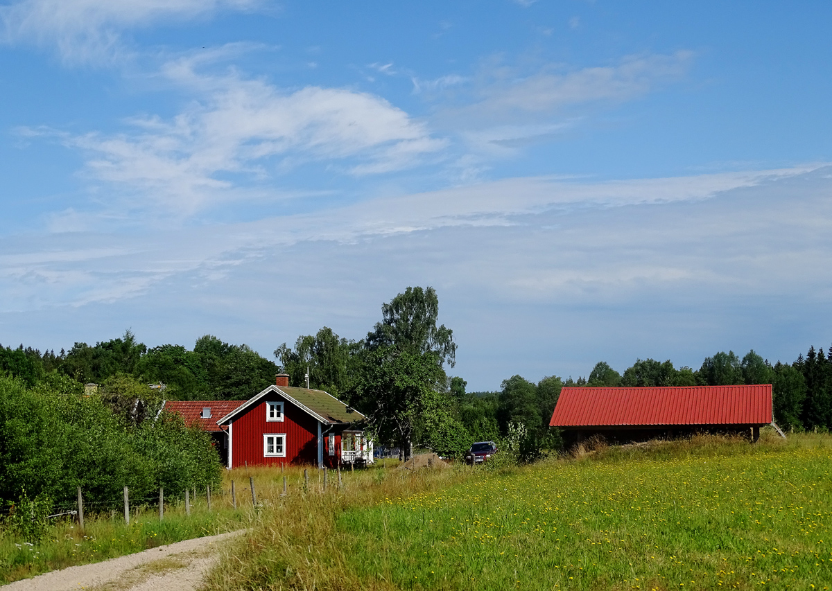 Summer in my country