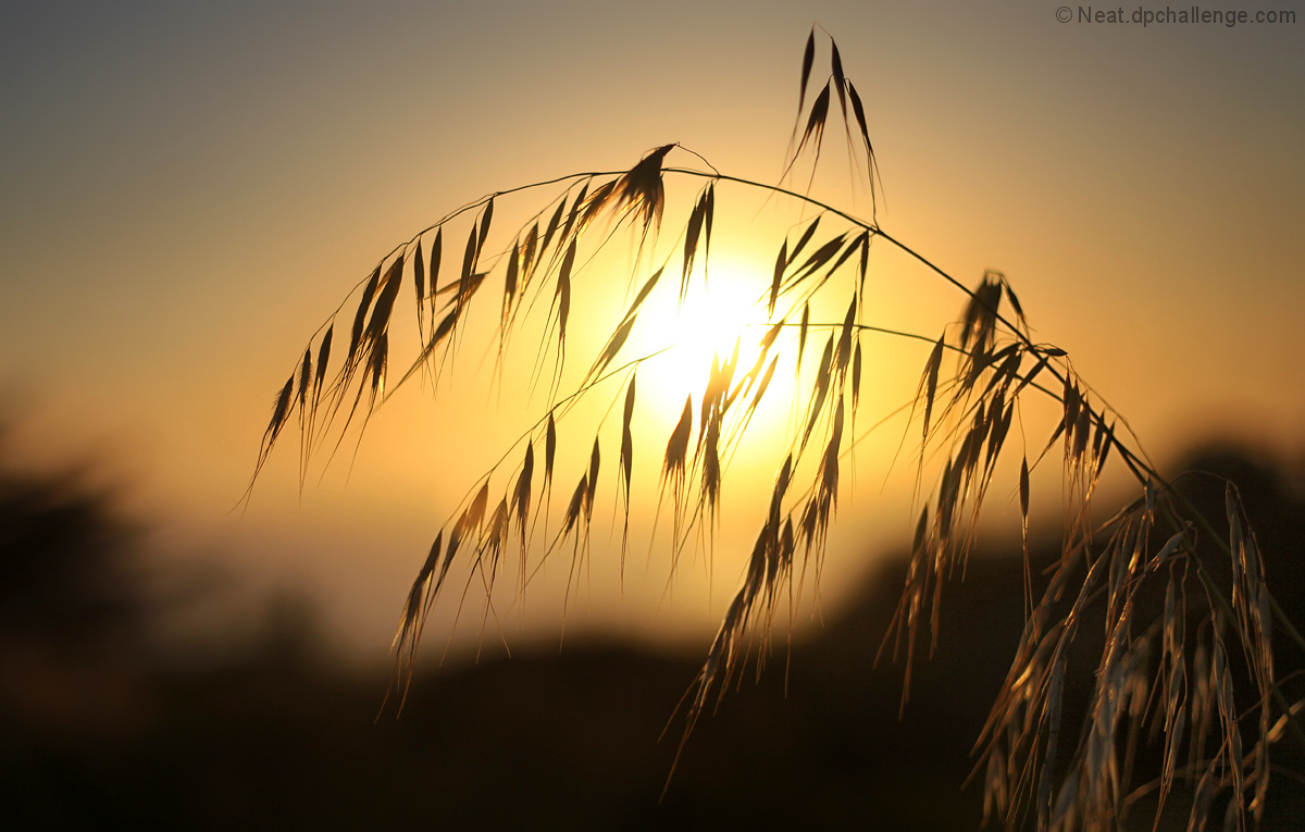 Whilst the sun was setting
