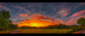 Sunset Over the Bogs