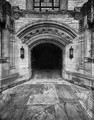 Libraries: portals to knowledge