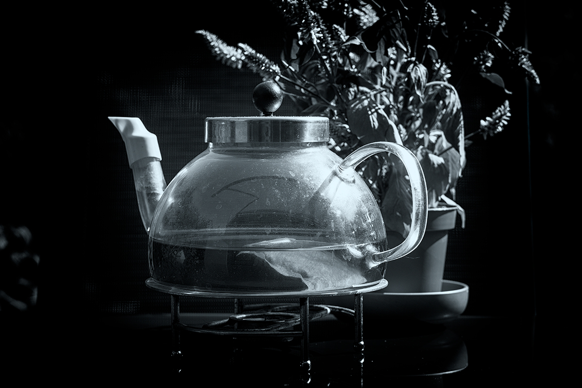 Teapot with plant